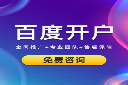 竞价广告的投放策略与网络推广的实践案例